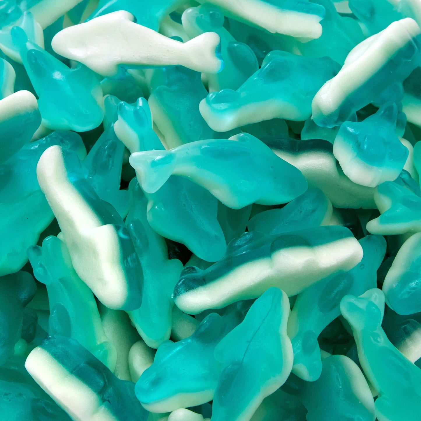 Blue Gummy Sharks Dye Free 26.4lb