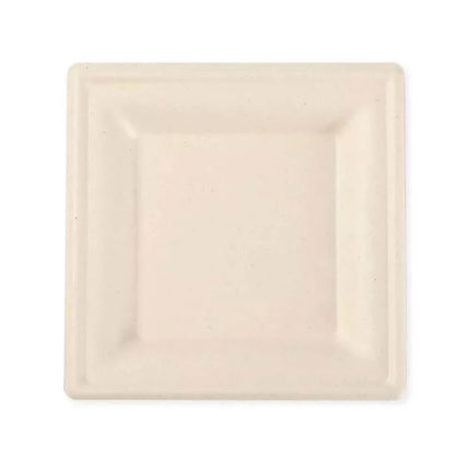 10 inch Square Plate 500 carton - Royal Wholesale