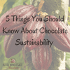 5 Things You Should Know About Chocolate Sustainability - Royal Wholesale