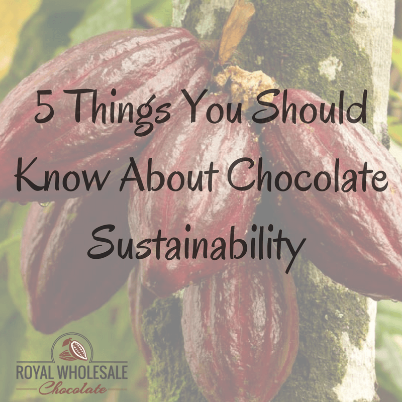 5 Things You Should Know About Chocolate Sustainability - Royal Wholesale