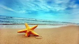 Beach - Royal Wholesale