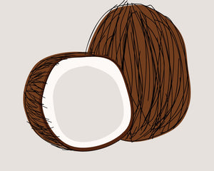 Coconut - Royal Wholesale