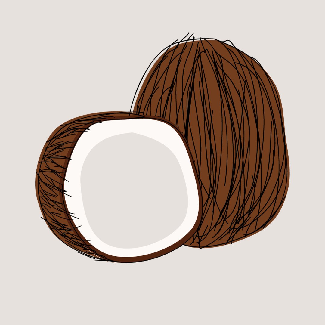 Coconut - Royal Wholesale