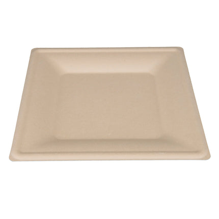 10 inch Square Plate 500 carton