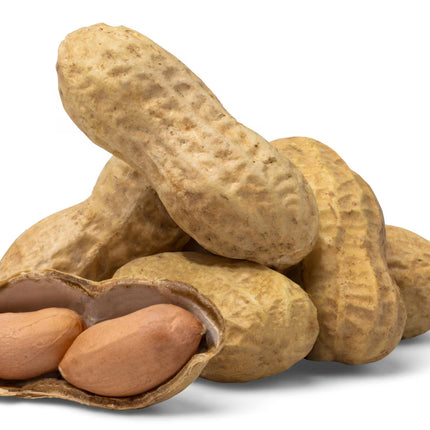 25lb. Raw Jumbo Peanuts in Shell