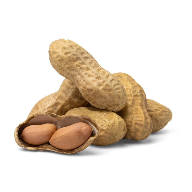 25lb. Raw Jumbo Peanuts in Shell