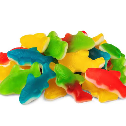 Kervan Assorted Sharks Foam Bottom 5lb