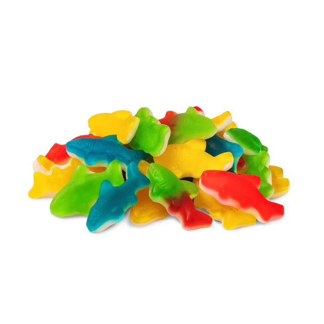 Kervan Assorted Sharks Foam Bottom 5lb