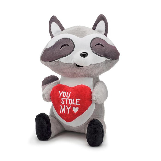 Plush Valentine Raccoon “You Stole My Heart” 1pc