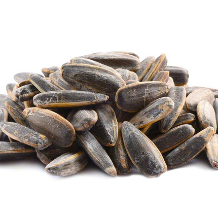 Giant Roasted Salted Sunflower Seeds in Shell 15lb