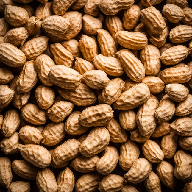 25# Raw Jumbo Peanuts in Shell