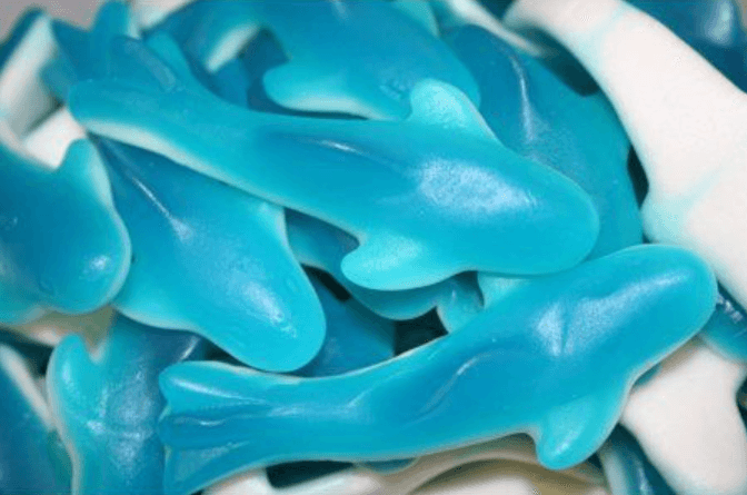 Gummy Sharks Blue With White Bottoms