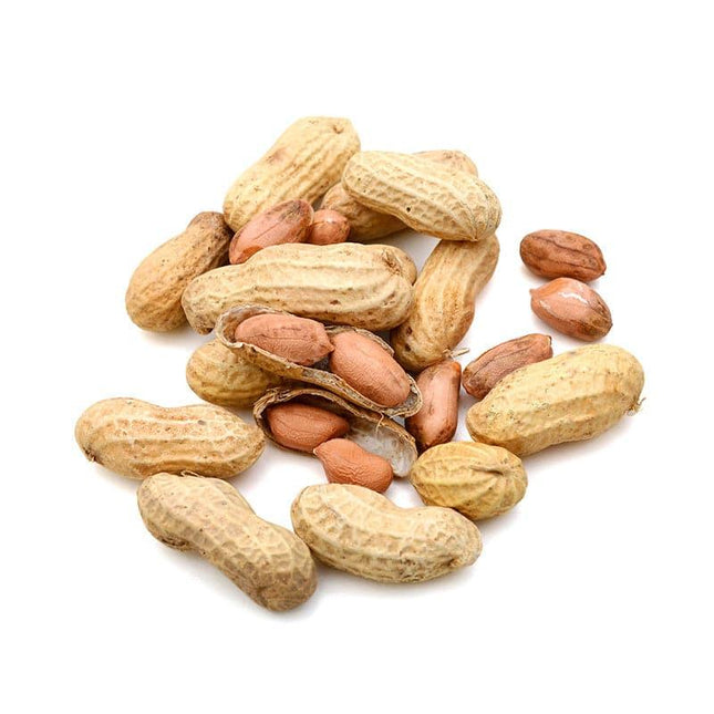 Raw Jumbo Peanuts in Shell 50lb Bag - Royal Wholesale