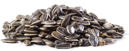 Giant Roasted Unsalted Sunflower Seeds in Shell 15lb - Royal Wholesale