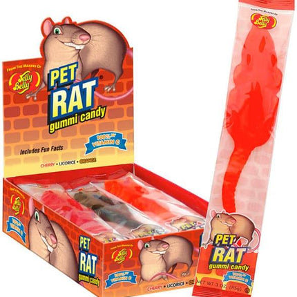 Jelly Belly Pet Rat Gummy Candy 24ct - Royal Wholesale