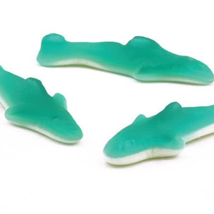 Kervan Gummy Blue Sharks 5lb - Royal Wholesale