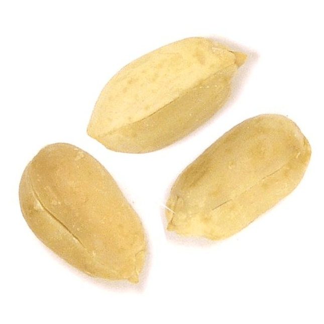 Roasted No Salt Medium Blanched Peanuts 15lb - Royal Wholesale