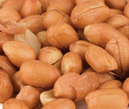 Roasted No Salt Spanish Peanuts 15lb - Royal Wholesale